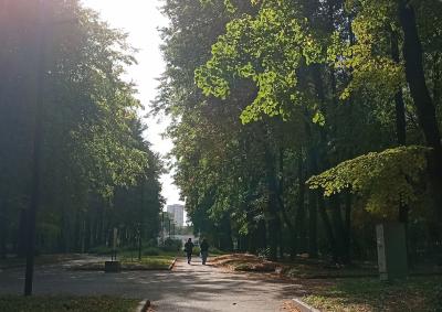 Рязанцам пообещали тëплый день без дождя