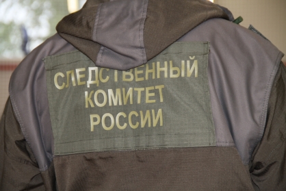 Пожилая рязанка зарезала приятеля