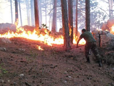 Добровольные рязанские пожарные активно помогают профессиональным огнеборцам