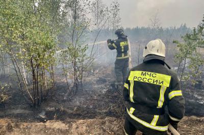 В Рязанской области нарастили группировку сил для тушения пожаров