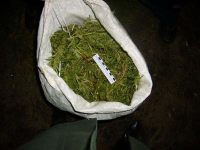 Жителя Пронска уличили в хранении марихуаны