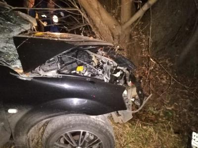 Близ Ермиши Renault Logan врезался в дерево, водитель погиб