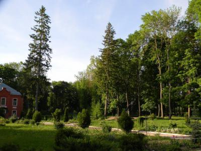 В Рязанской области состоится «Весенний вальс для Ерлинского парка»