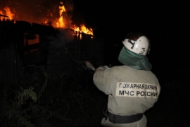 Огонь повредил постройку и колёса автомобиля в Рязанской области