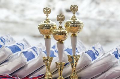 Рязанские дзюдоисты завоевали медали Всероссийского турнира в Подмосковье