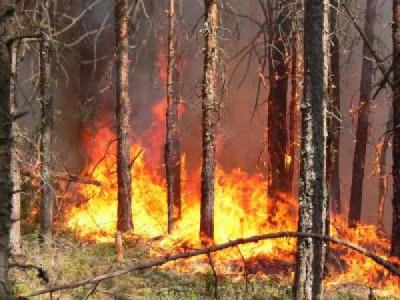5 класс пожарной опасности введён в Рязанской области