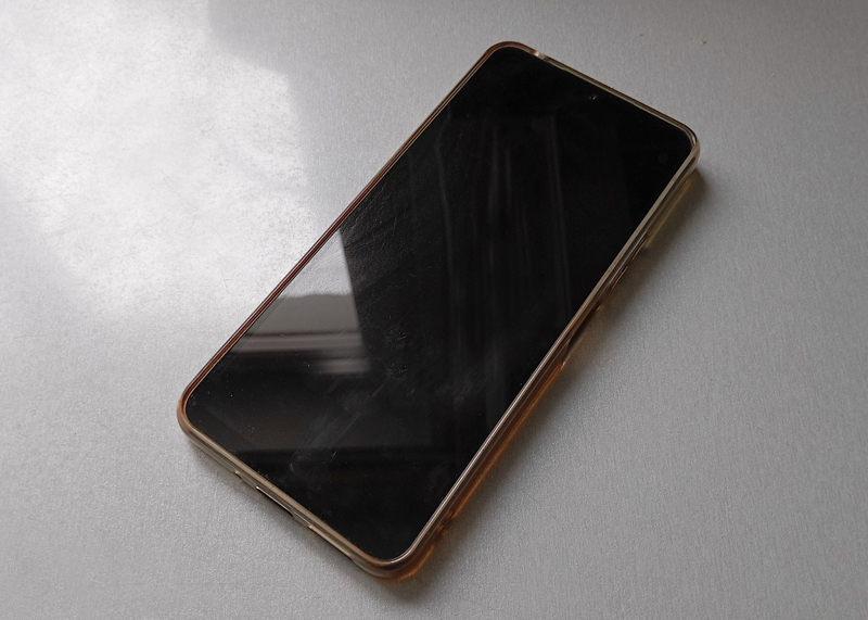 В Рязанской области положительно оценили эксперимент по отправке электронных повесток