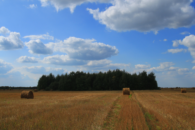 Карта старый киструс