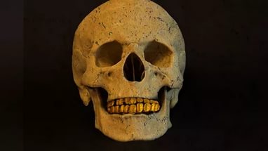 Под Рязанью обнаружили скелет с золотыми коронками