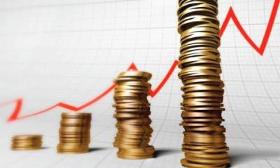 Инфляция в Рязанской области за 2015 год составила 16,6%