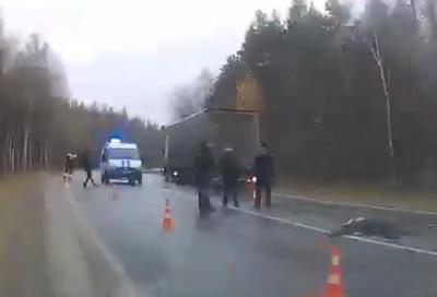 Полиция ищет свидетелей трагического ДТП в Клепиковском районе