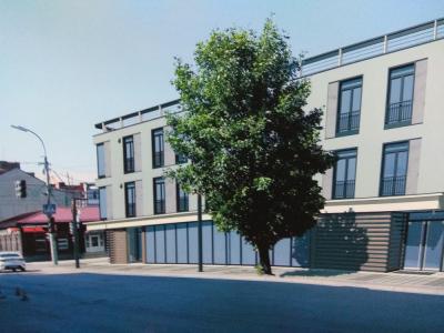 Мэрии Рязани пришлось утвердить проект планировки территории в центре города