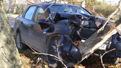 В Пронске автомобиль врезался в дерево
