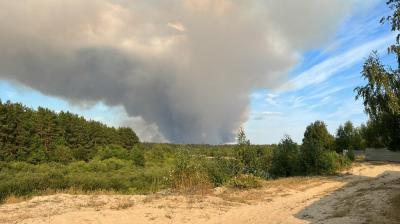 Дым от лесных пожаров под Рязанью дошёл до Москвы