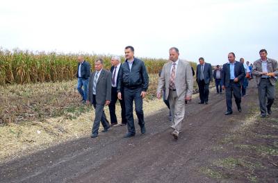 За последние шесть лет в Рязанской области посевные площади под кукурузу увеличены в 21 раз
