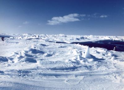 Депутат Рязоблдумы может принять участие в арктической экспедиции