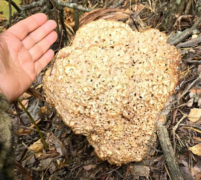 Фото Татьяны Чепкасовой