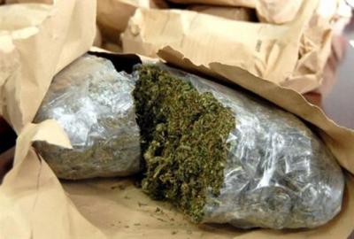 Рязанские наркополицейские перехватили более трёх килограммов марихуаны