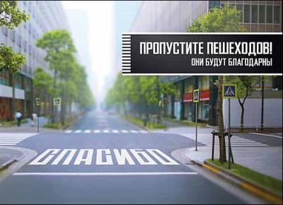Рязанская Госавтоинспекция просит пропускать пешеходов