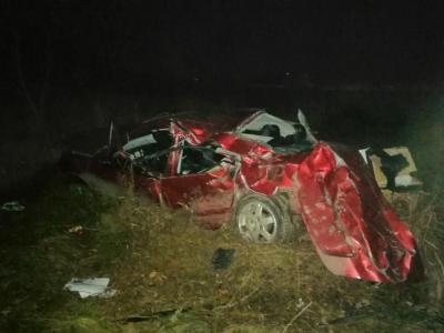 Под Спасском пьяный водитель Mitsubishi опрокинулся в кювет