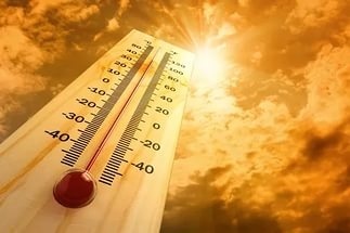 На Рязанщине 11 июля ожидается жара до +34°С