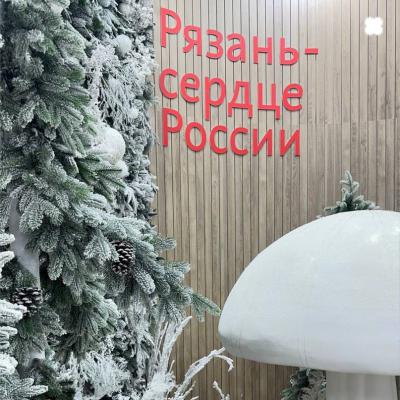 Изменился стенд Рязанской области на выставке-форуме «Россия»
