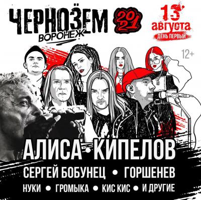 Организаторы объявили первых участников рок-фестиваля «Чернозём»