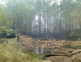 Потушен лесной пожар в Касимовском районе