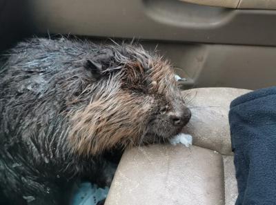 Фото: пользователь соцсети «ВКонтакте» Эдуард Жуков