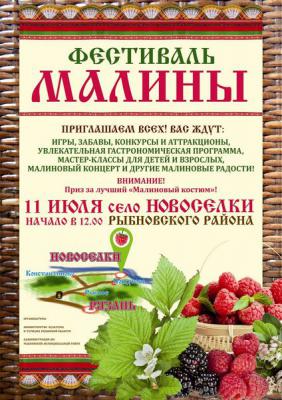 В Рыбновском районе пройдёт фестиваль малины