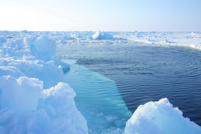 Показать ледовитый океан. Океан Северный Ледовитый океан. Арктика Северный Ледовитый океан. Арктика и моря Северного Ледовитого океана.