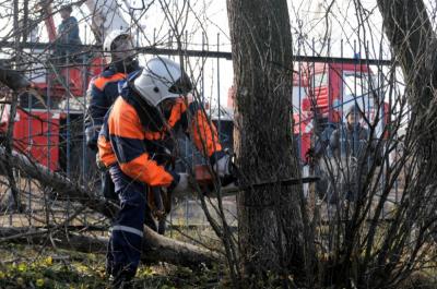 Спасатели опилили деревья возле Шереметьево-Песочинского детского дома