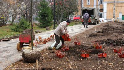 В Наташкином парке Рязани начали сажать деревья и кустарники