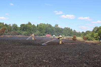 В дотушивании торфяного пожара в Клепиковском районе участвуют более 100 человек
