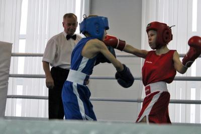 Юные сасовские боксёры показали высокие результаты в Мордовии