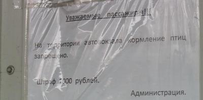 Рязань автовокзал приокский расписание автобусов на сегодня