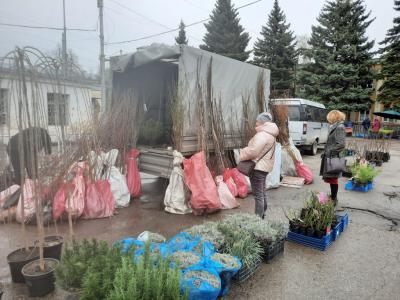 Работу ярмарки «Сад-огород» в Рязани продлили до 30 апреля