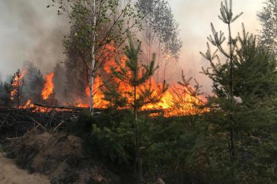 Крупный лесной пожар произошёл в Рязанской области