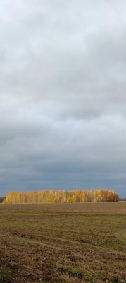 В Спасском районе поймали браконьера на месте преступления