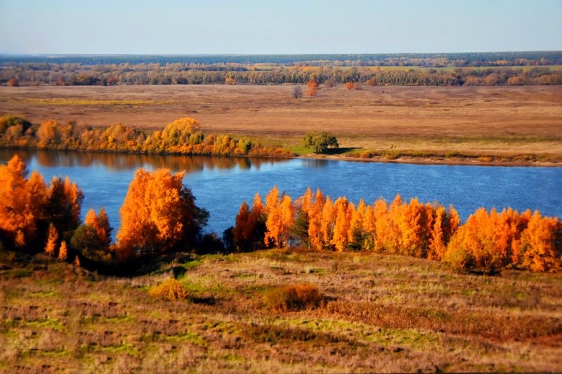 Край рязанский картинки