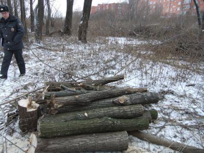 Экологический рязанский альянс сообщает о вырубке деревьев в районе Муромского шоссе