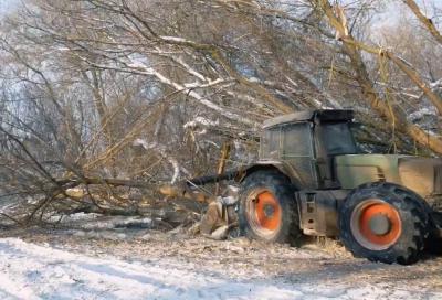 Деревья на дорогах Скопинского района опилили мульчером