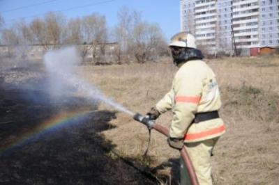 Рязанские пожарные уже 273 раза выезжали на тушение травы