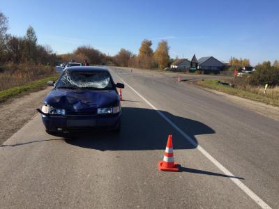 В Чучково в результате ДТП погибла пассажирка мопеда