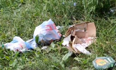 Рязанцы обратили внимание на свинское отношение к природе в Лесопарке