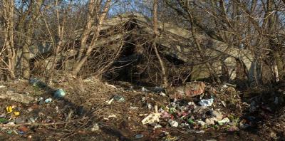 Село Мушковатово под Рязанью зарастает мусором