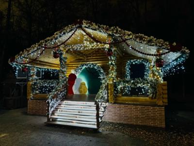 В Рязани 13 декабря стартует сезон новогодних фестивалей