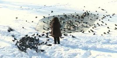 В Рязани с трудом выживают дикие утки