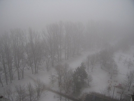 Сильный туман на территории Рязанщины сохранится весь день 13 ноября