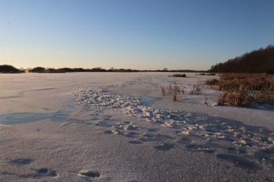 Рязанцев предупредили об опасности выхода на неокрепший лёд